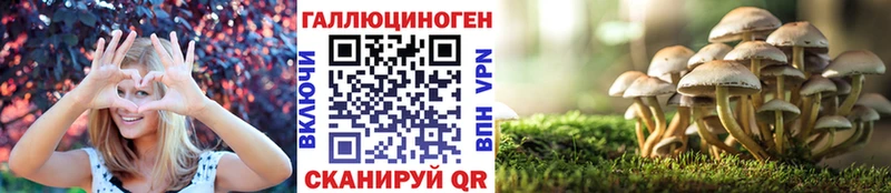 где найти наркотики  Клинцы  Псилоцибиновые грибы ЛСД 