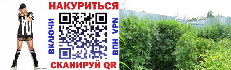 Шишки марихуана LSD WEED Клинцы